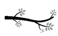 Timeline Image